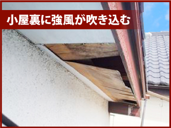 軒天ってどの部分？屋根の裏側の板が張ってある所ですよ！