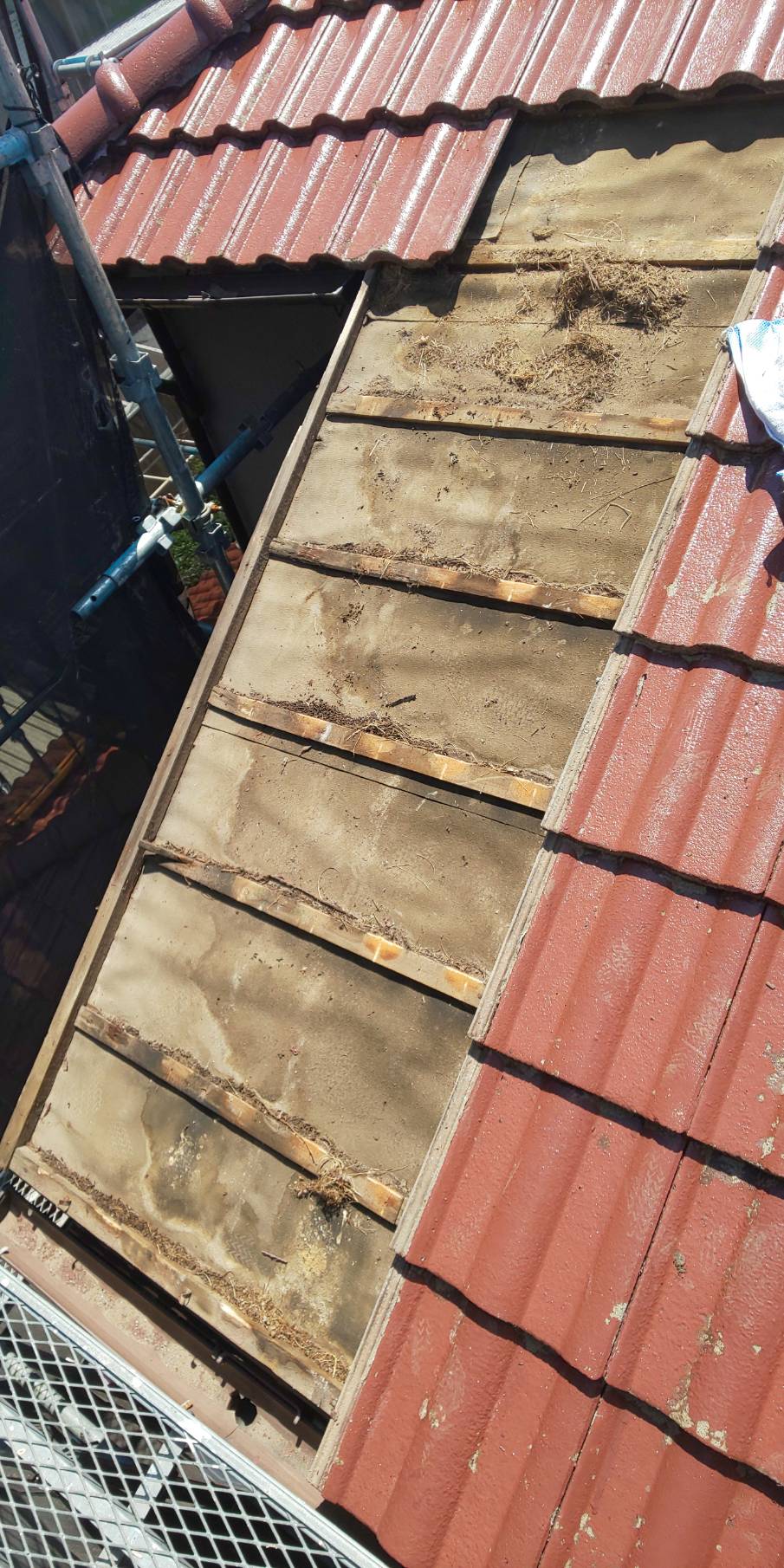 鴻巣市で瓦屋根の部分葺き直しと塗装工事を行いました