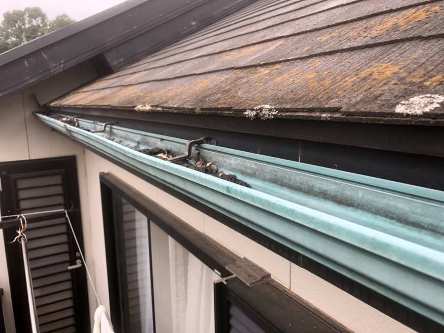 伊奈町 屋根のコケ