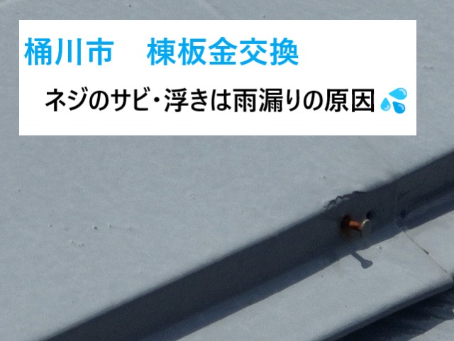 桶川市で棟板金交換！訪問業者の訪れで不安に💦数年前に行った塗装は塗装のみだったとは…ネジのサビ・浮きは雨漏りの原因💦