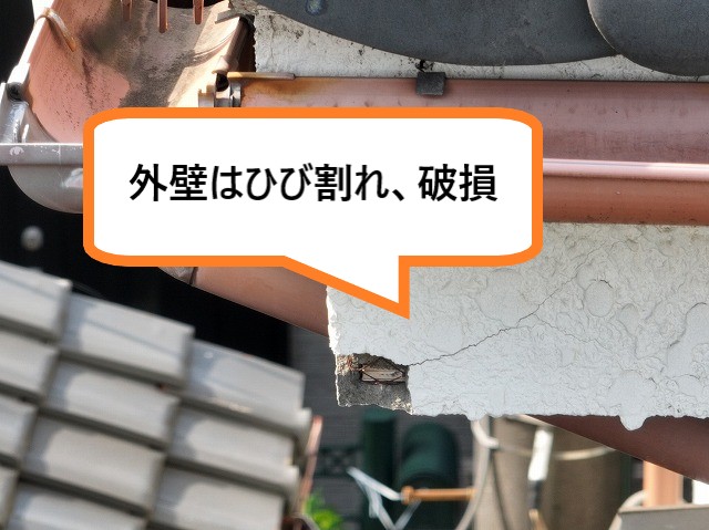 ヒビ