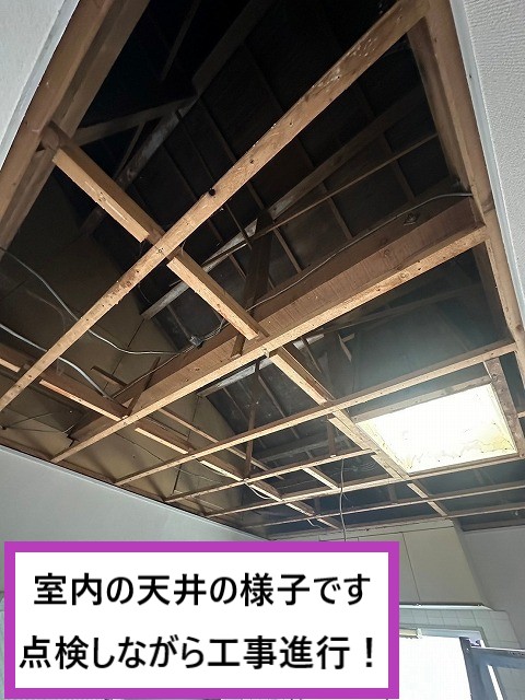 室内