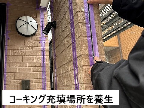 養生
