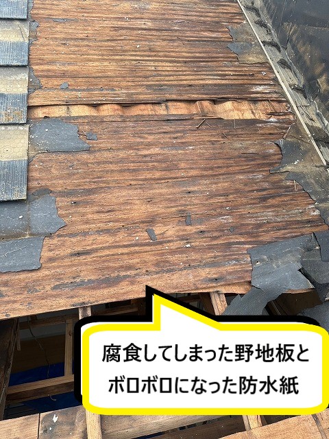野地板腐食