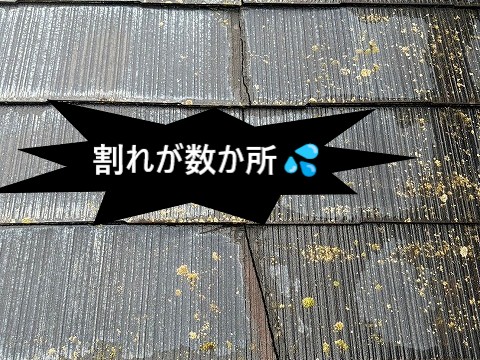 ヒビ