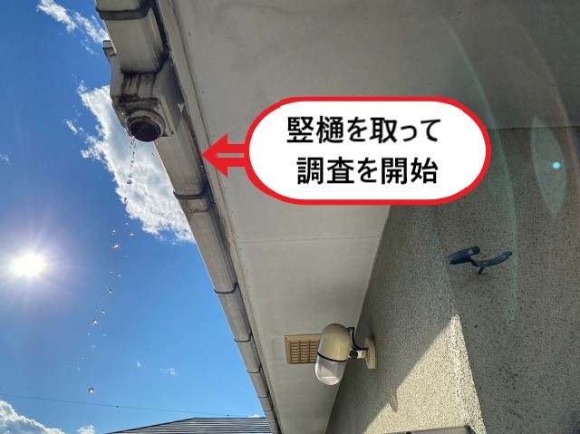 調査