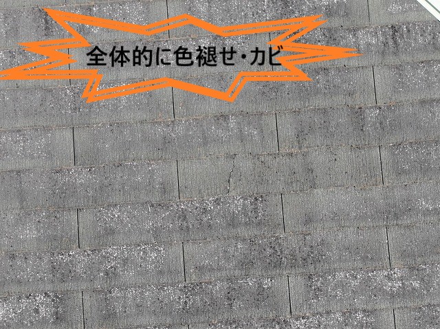 全体劣化