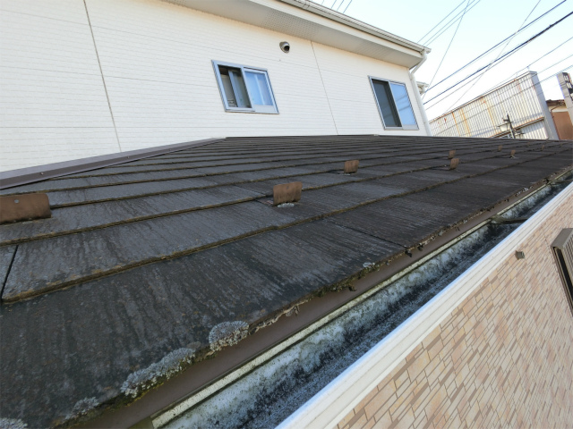 スレート屋根の苔やカビ