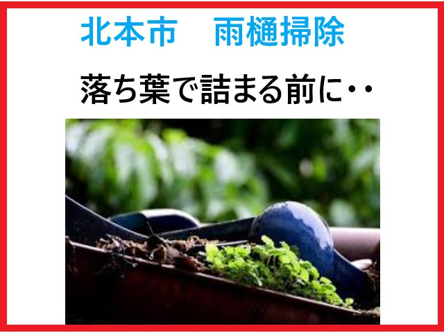 北本市　雨樋掃除！落ち葉で詰まる前に！安心の定期メンテナンスとは？