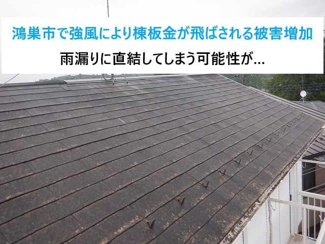 鴻巣市で屋根点検！強風により棟板金の飛散被害多発…耐用年数と交換時期・修理や交換にかかる費用をご紹介
