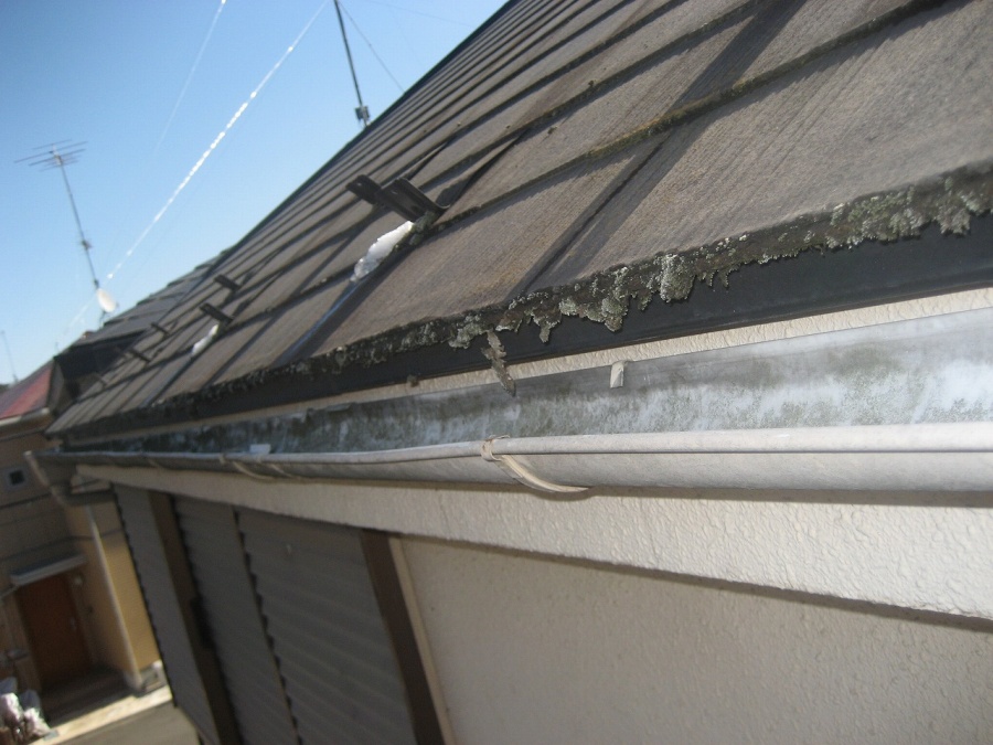 川口市　雨樋　現場調査