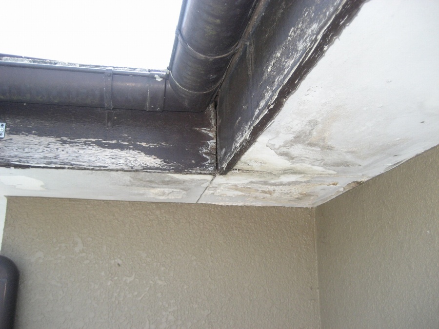 軒天　劣化　行田市