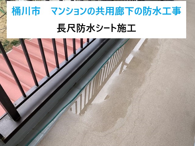 桶川市マンションの共用廊下の防水工事