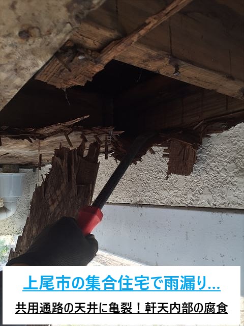 上尾市の集合住宅で雨漏り工事…軒天に下地補修　塩ビ防水シートを施工しました！