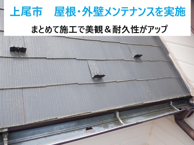タイトル