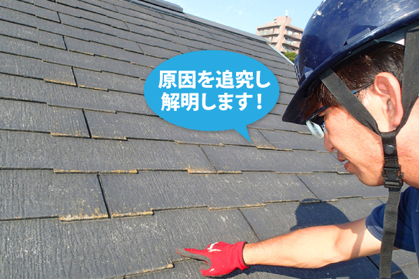 屋根修理　プレハブ建物の雨漏りにカバー工法を実施