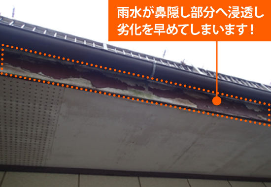 雨樋掃除の味方　落ち葉除けネット設置
