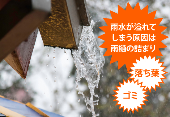 雨樋掃除の味方　落ち葉除けネット設置