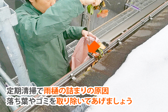 雨樋掃除の味方　落ち葉除けネット設置