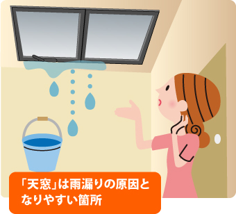 天窓の雨漏り修理を実施しました♪