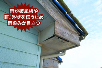雨樋掃除　掃除のポイントと落ち葉除けネットのお勧めをご紹介♪