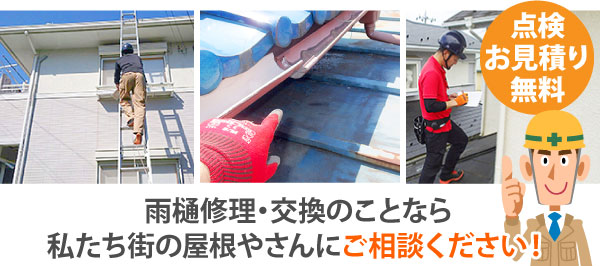 雨樋掃除　掃除のポイントと落ち葉除けネットのお勧めをご紹介♪