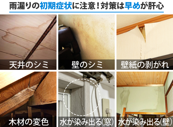 雨漏りでお困りの方へ～初期対応から修理までをお伝えします～