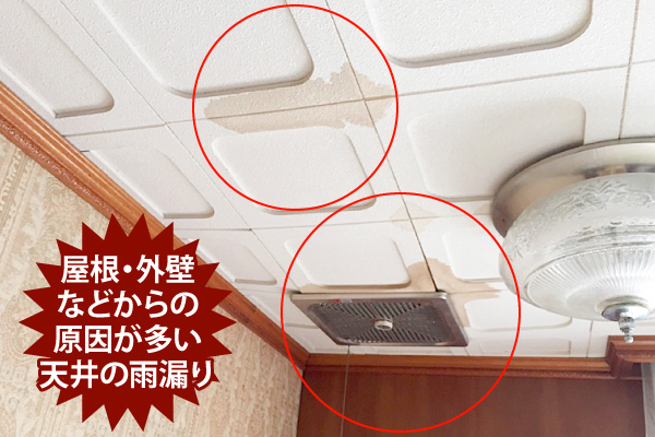 屋根工事会社の無料点検！ここまでやります(*'ω'*)