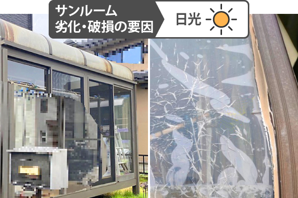 日光