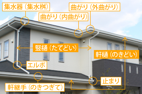 雨樋掃除　掃除のポイントと落ち葉除けネットのお勧めをご紹介♪