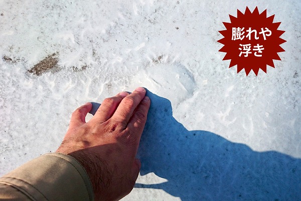 ひとつでも当てはまる症状があれば、迷わず専門業者に相談してくださいね。