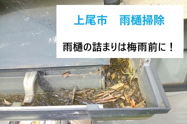 タイトル