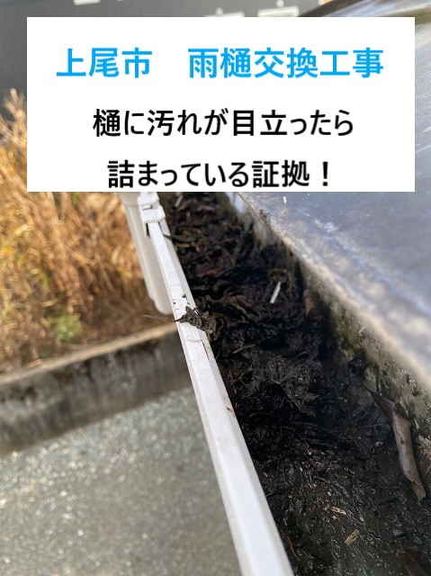 上尾市 雨樋交換工事!詰まり・汚れでお悩みの方必見!落ち葉除け対策や台風前点検もご紹介