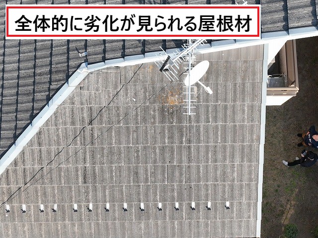 全体的