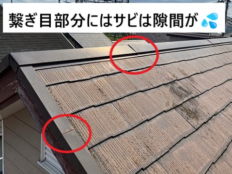 棟