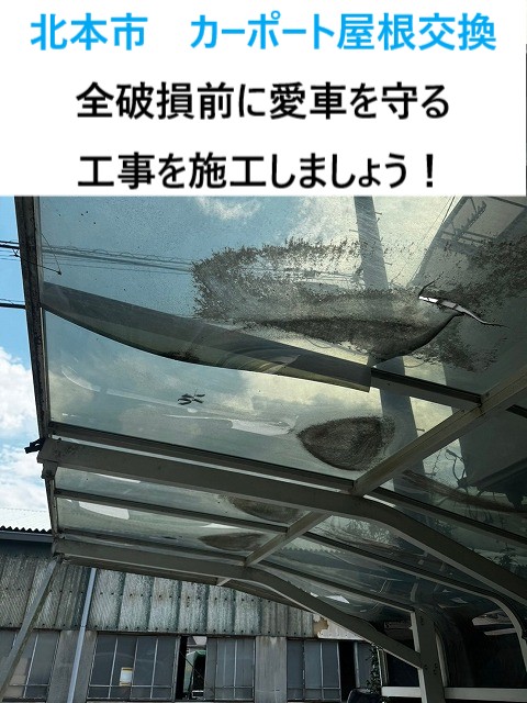 北本市　破損したカーポート屋根の全交換！飛来物で穴が！愛車を守るための対応