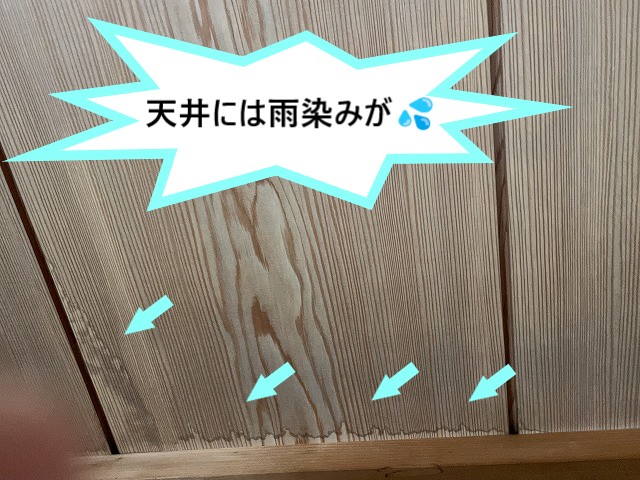 雨染み