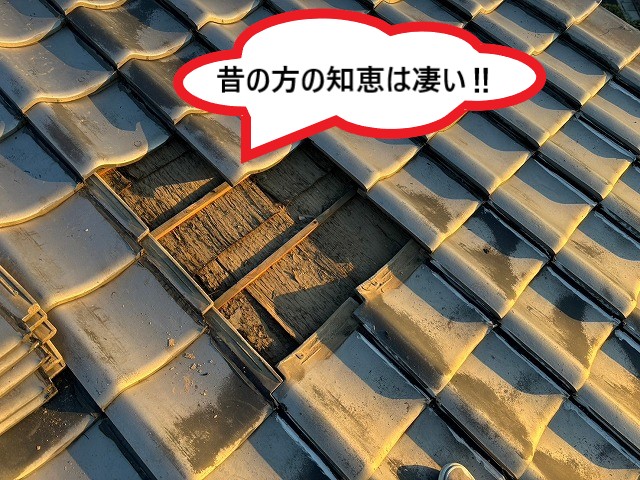 杉の皮