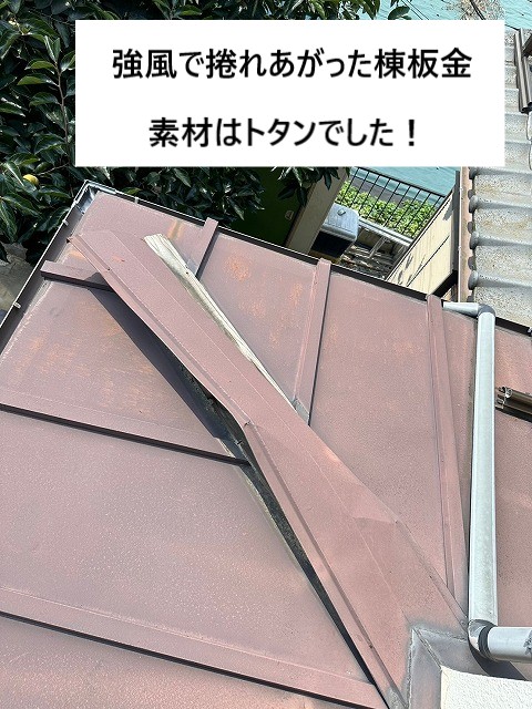 棟板金