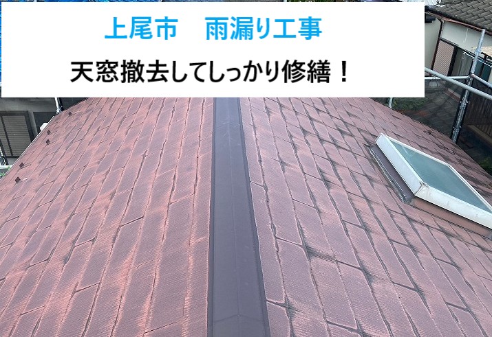 タイトル