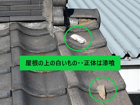 屋根の上に白いものがある