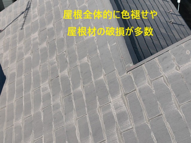 全体劣化