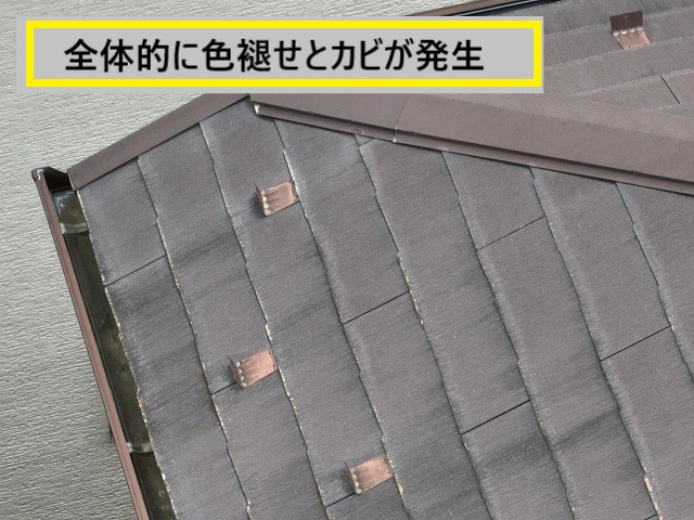 色褪せ