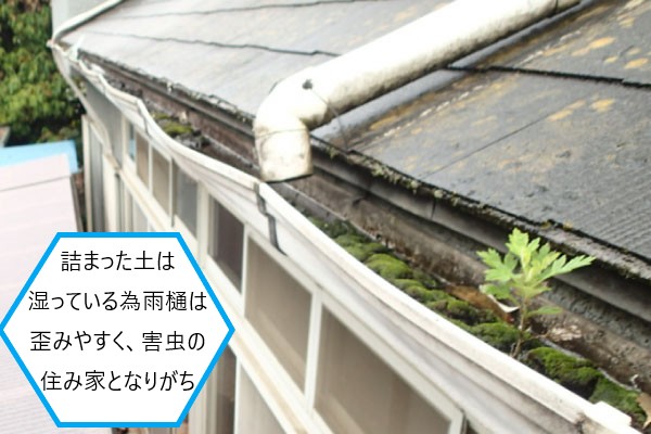 劣化