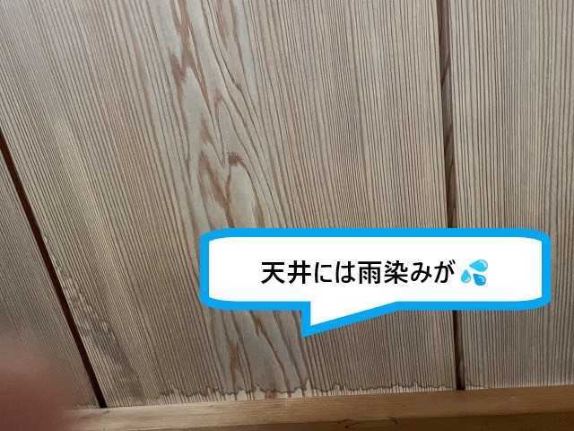 雨染み