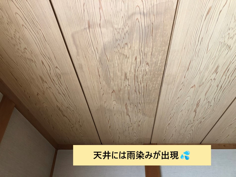 雨染み