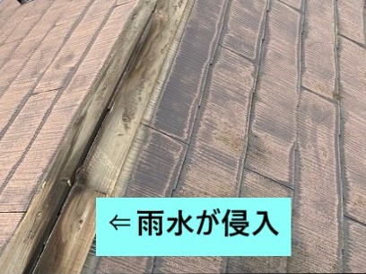 雨水