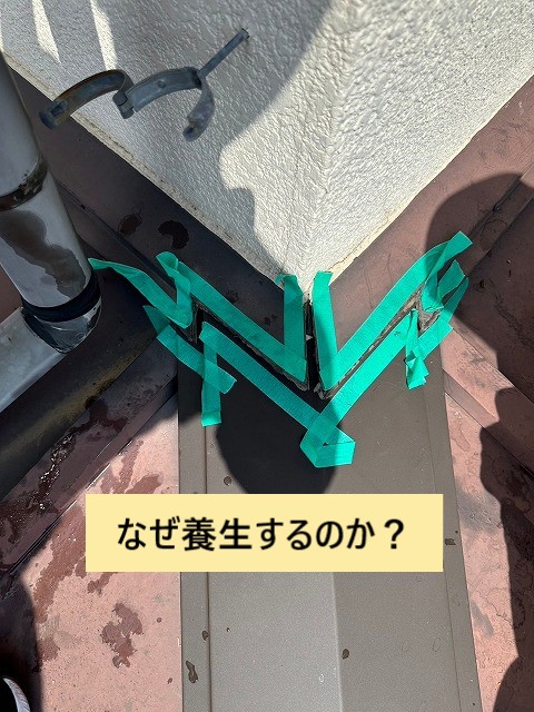 養生