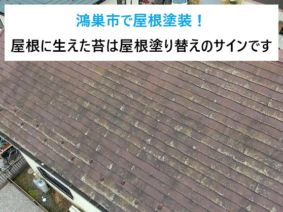 鴻巣市で屋根塗装！屋根に生えた苔は屋根塗り替えのサインです