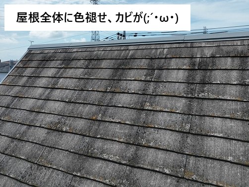 屋根全体に色褪せ、カビ